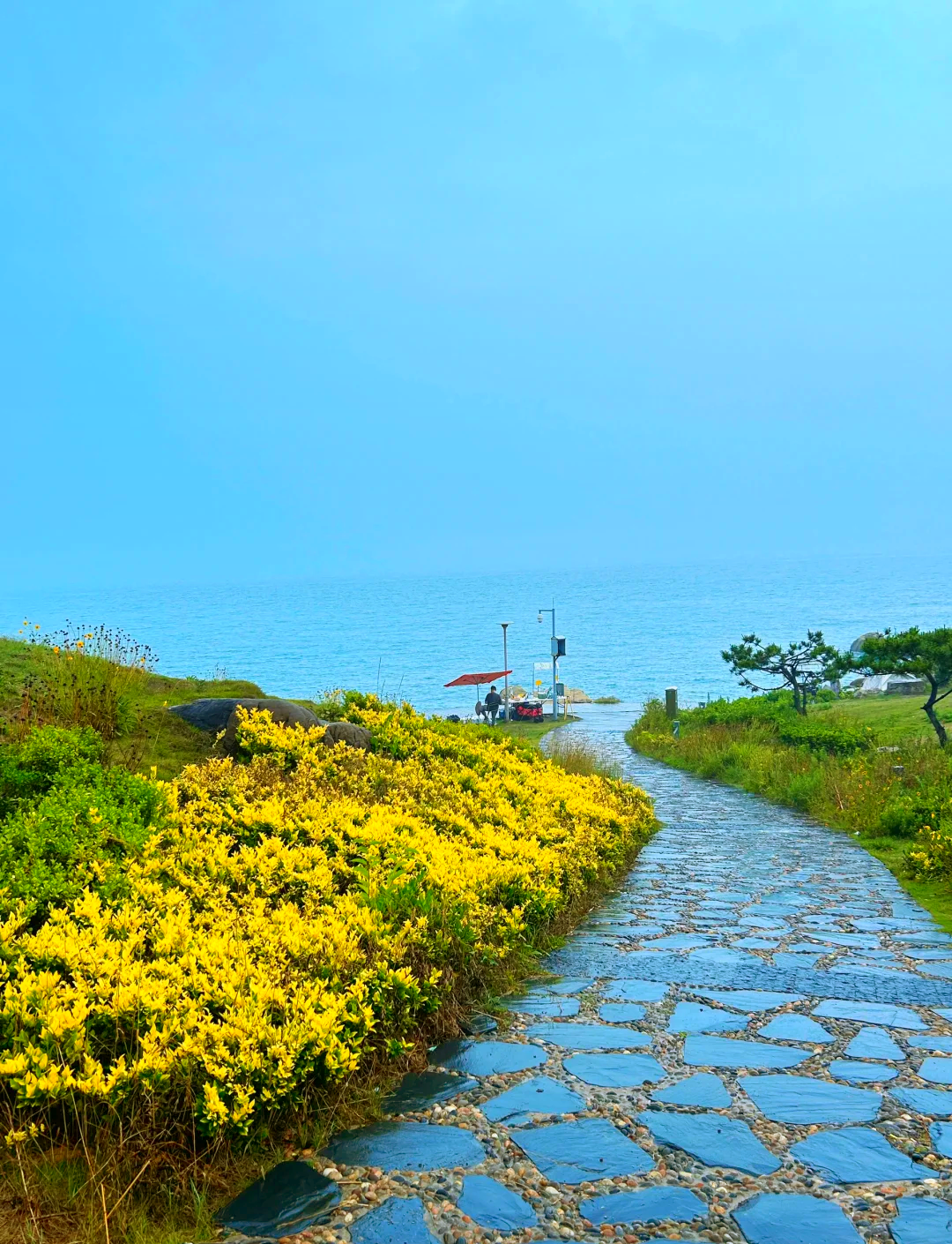 黄岛的海钓地方(黄岛海钓地点)