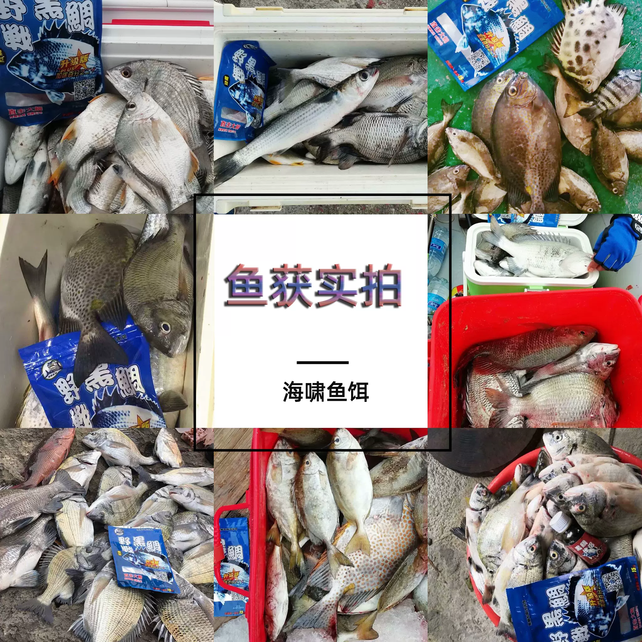 海钓杆鱼食(海竿用饵料怎么钓鱼)