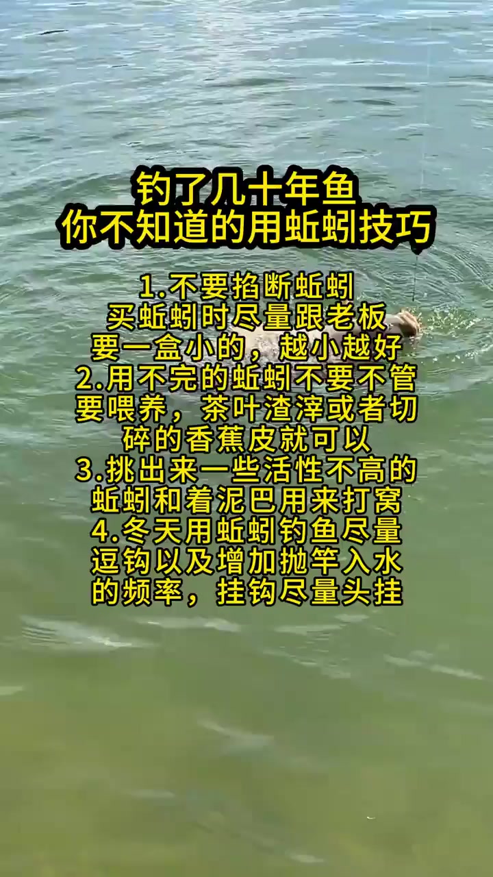 11月用蚯蚓钓鱼技巧(11月用蚯蚓钓鱼技巧和方法)