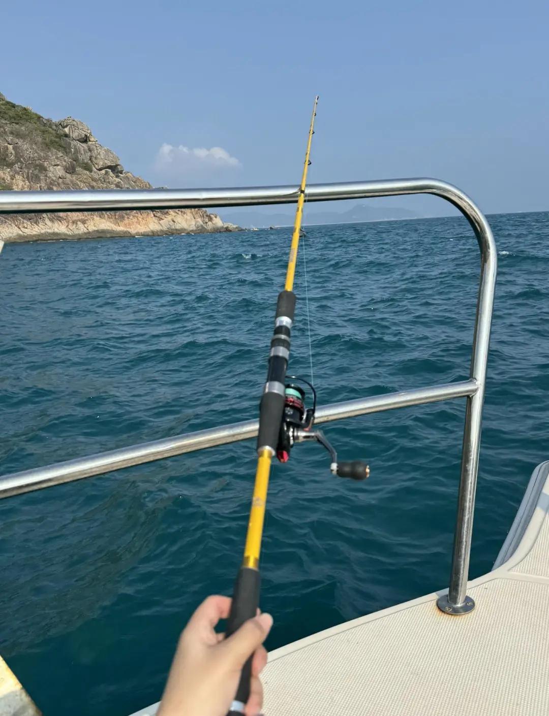 海钓海鳗的技巧(海钓海鳗的技巧和方法)