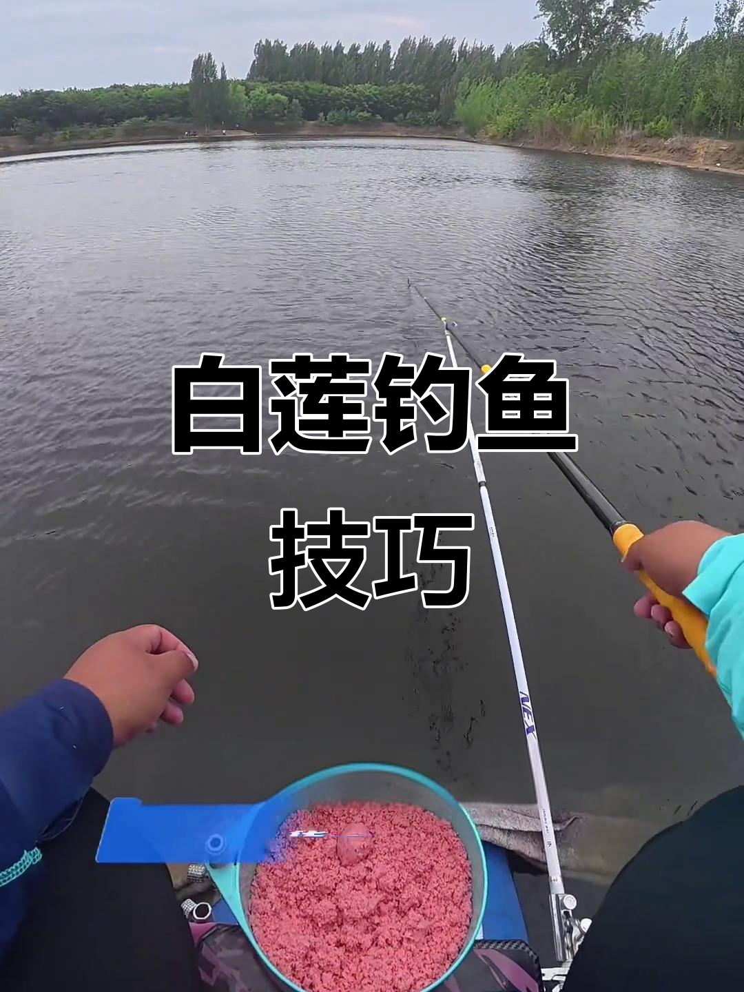 钓花白鲢技巧视频(钓花白鲢怎么选择钓位)