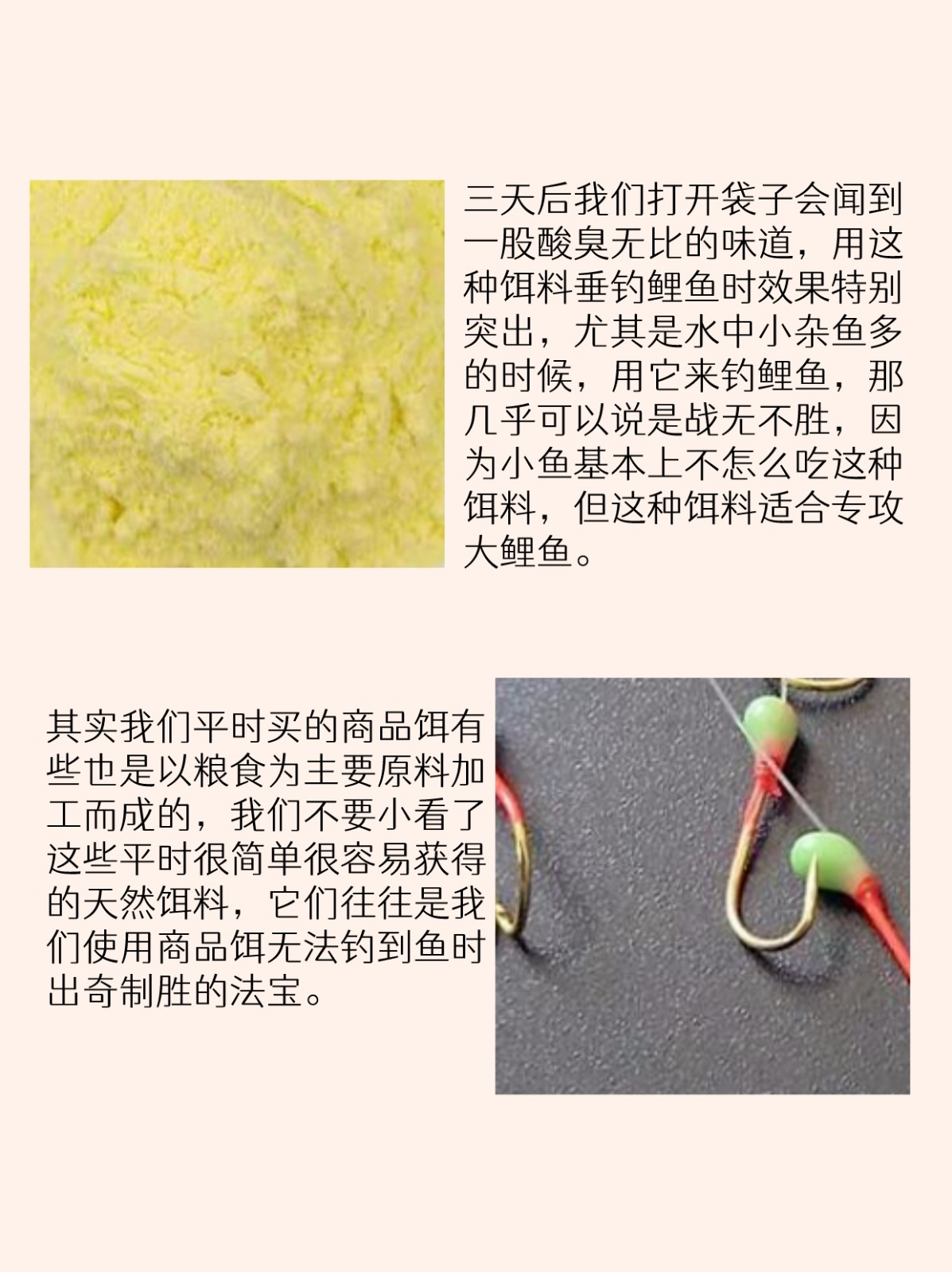 蚕豆鲫鱼饵料配方(蚕豆鲫鱼饵料配方大全)