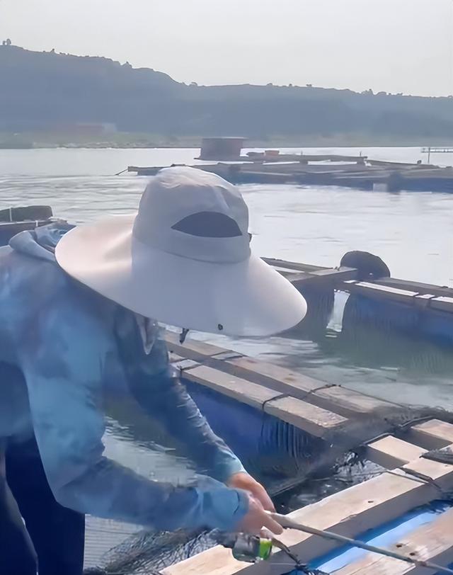 海钓场龙趸钓场(捕鱼赶海海钓类小说)
