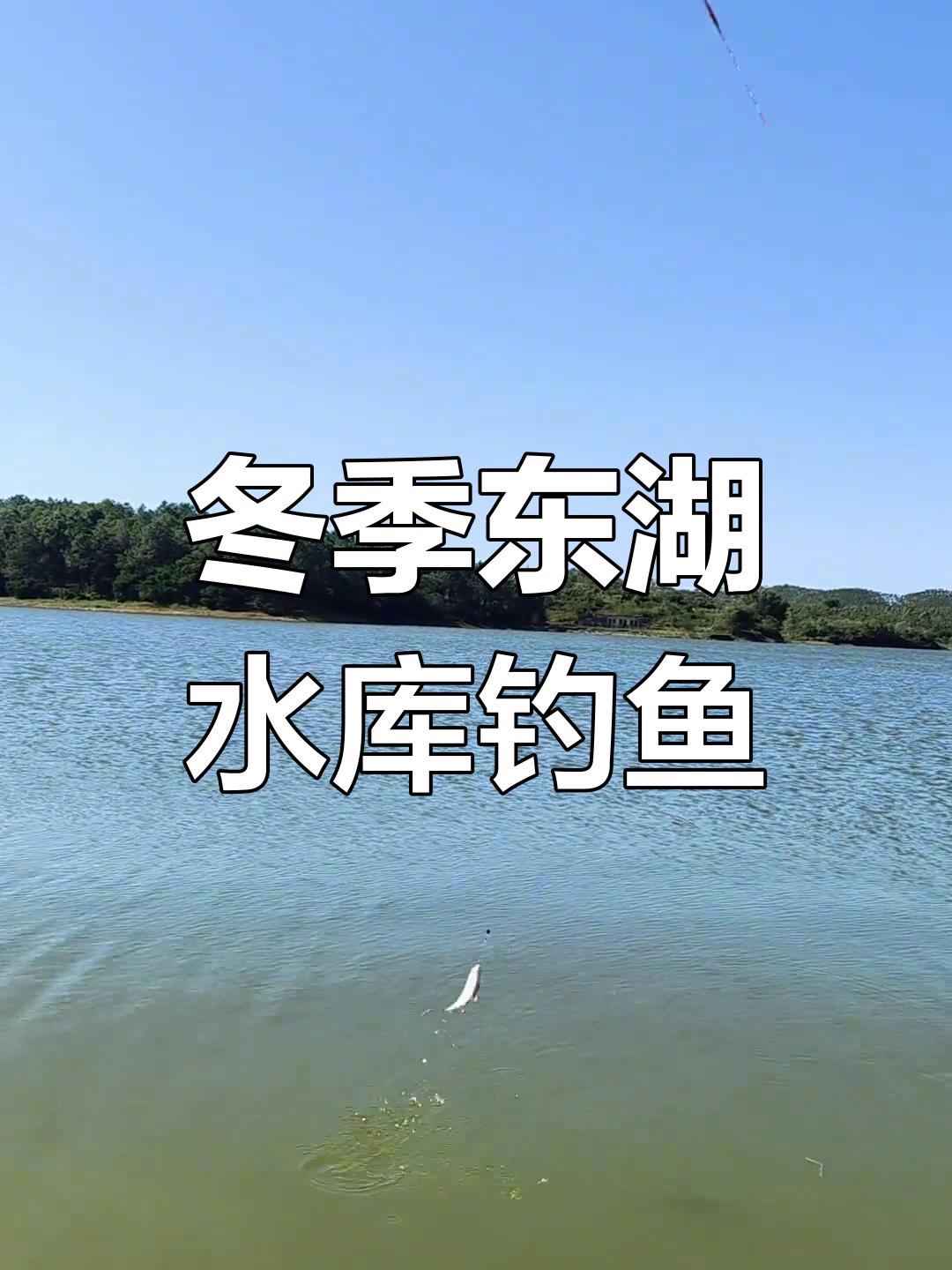 春季水库钓鲫鱼技巧(春季水库野钓鲫鱼选钓点技巧)