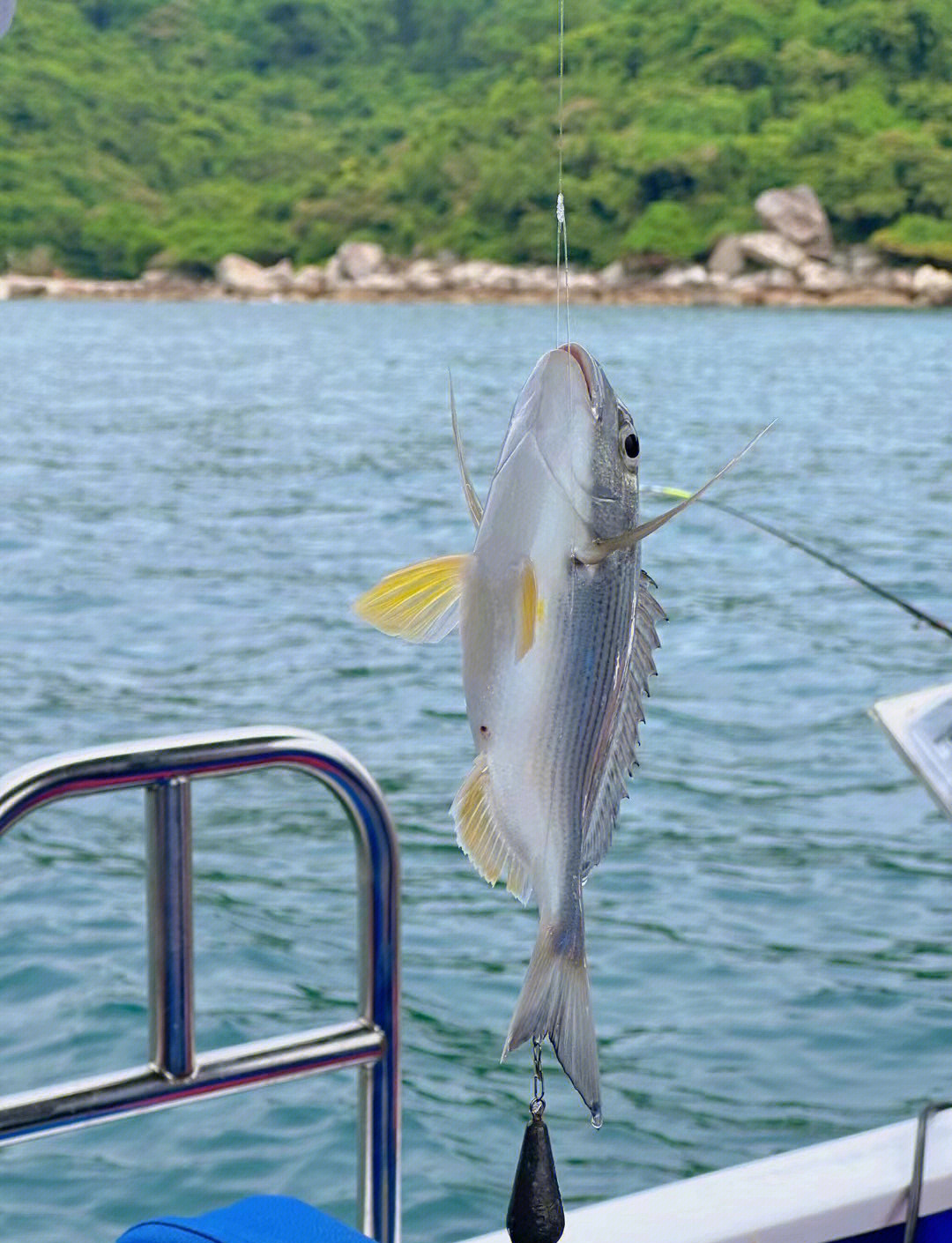 澳头大亚湾海钓(大亚湾出海钓鱼)