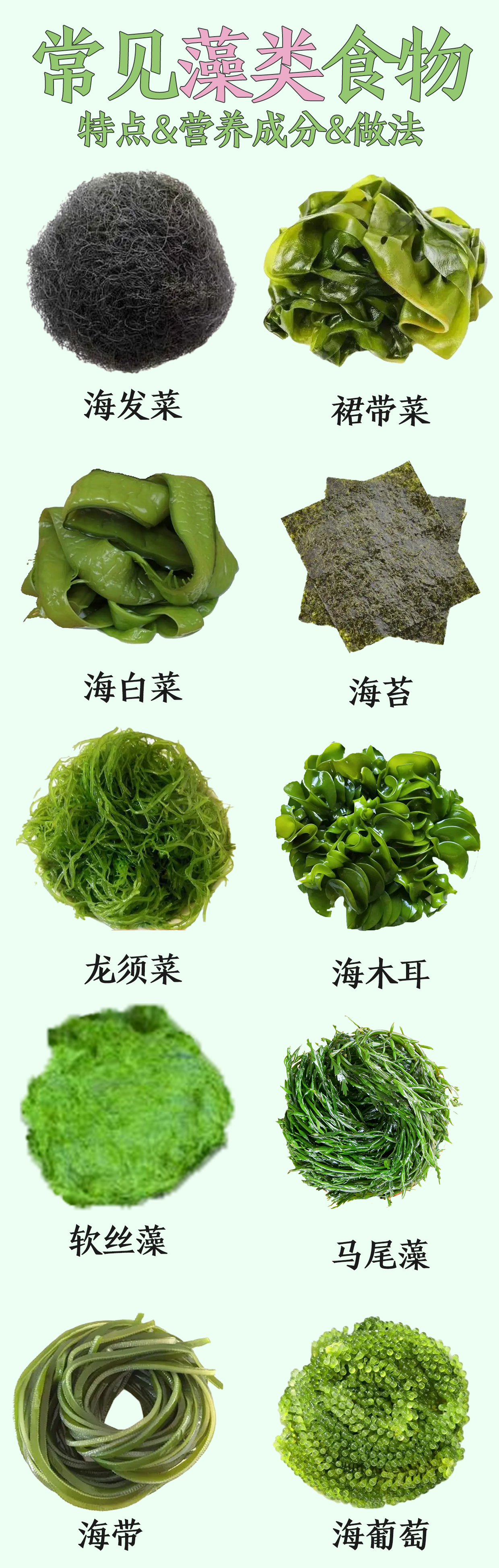 饵料藻类(饵料藻类 品种)