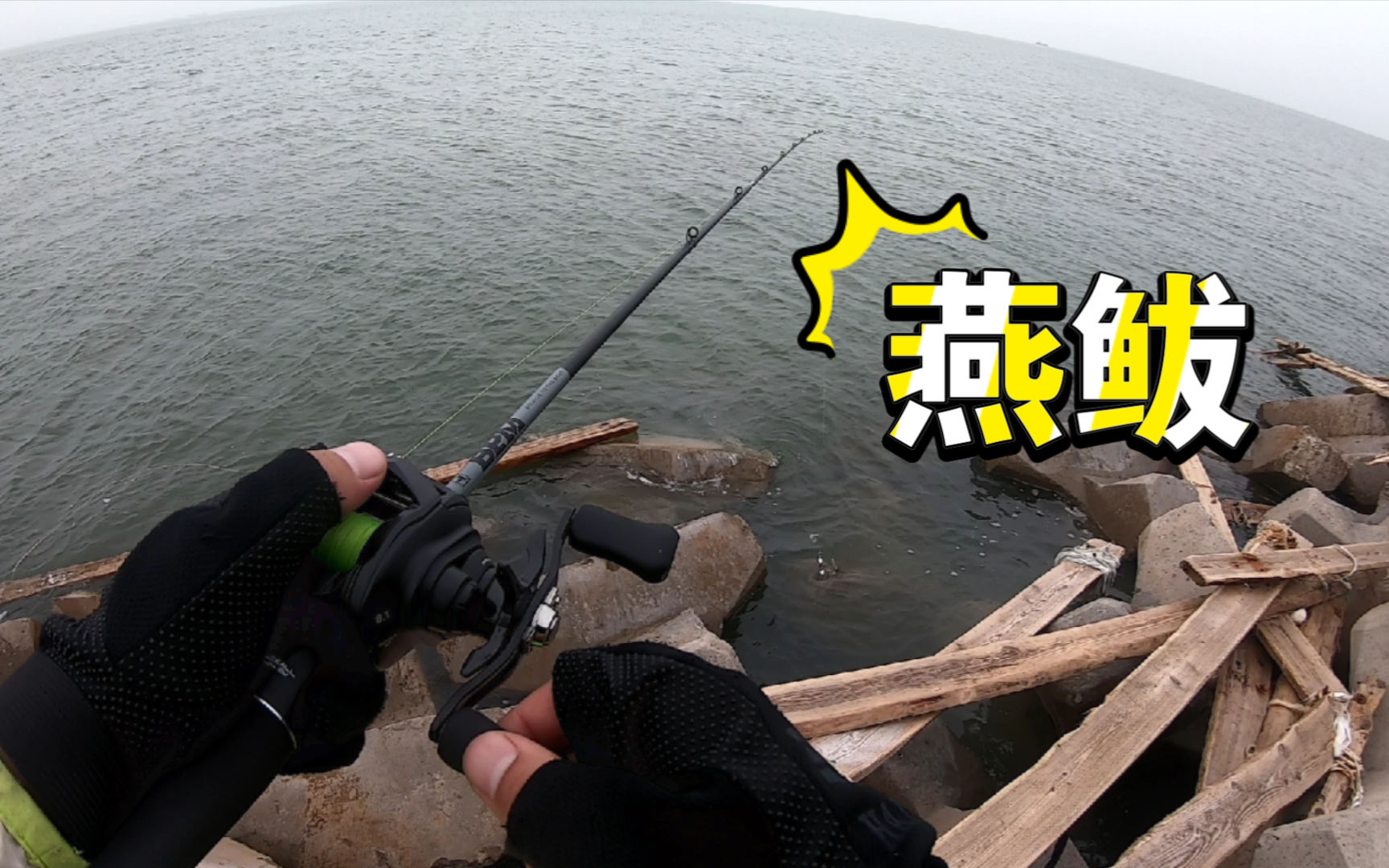 海钓燕鱼怎么绑线(海钓燕鱼线组视频)