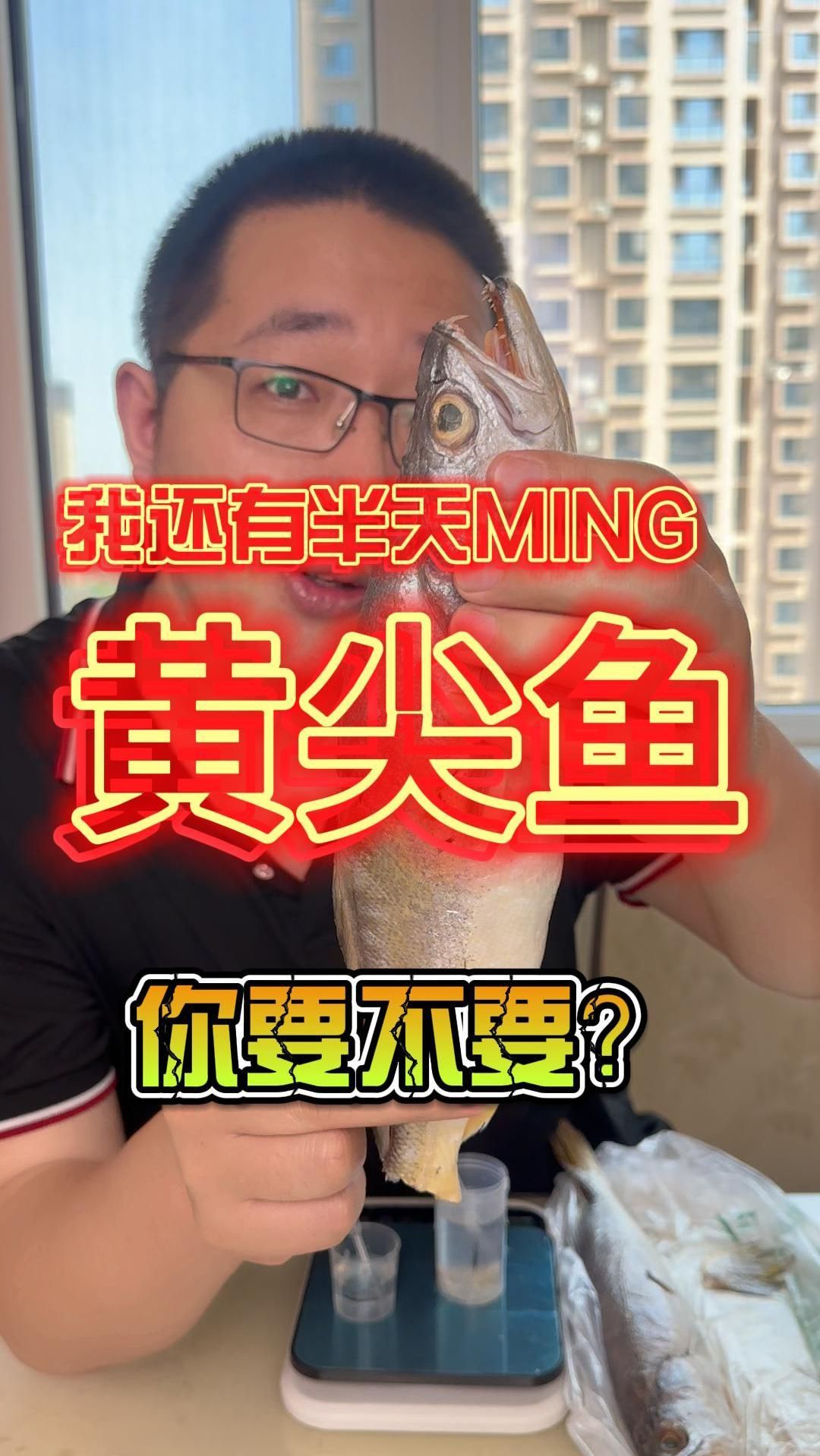 海钓黄尖(中国海钓网官网)