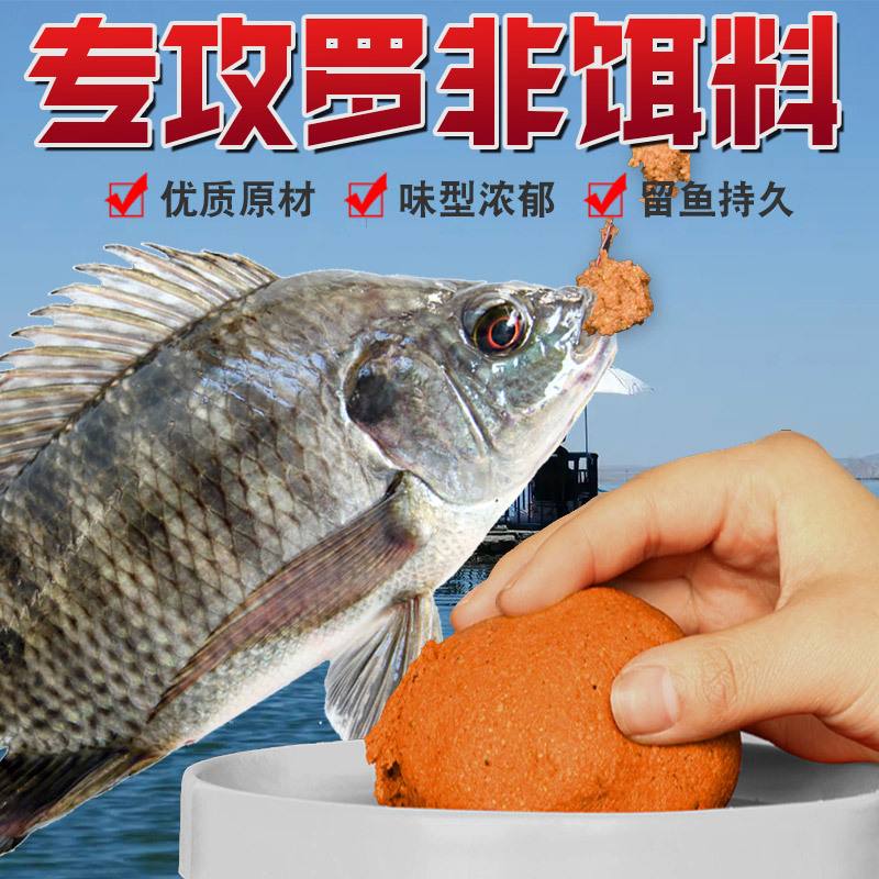 福寿饵料介绍(福寿饵可以钓什么鱼)