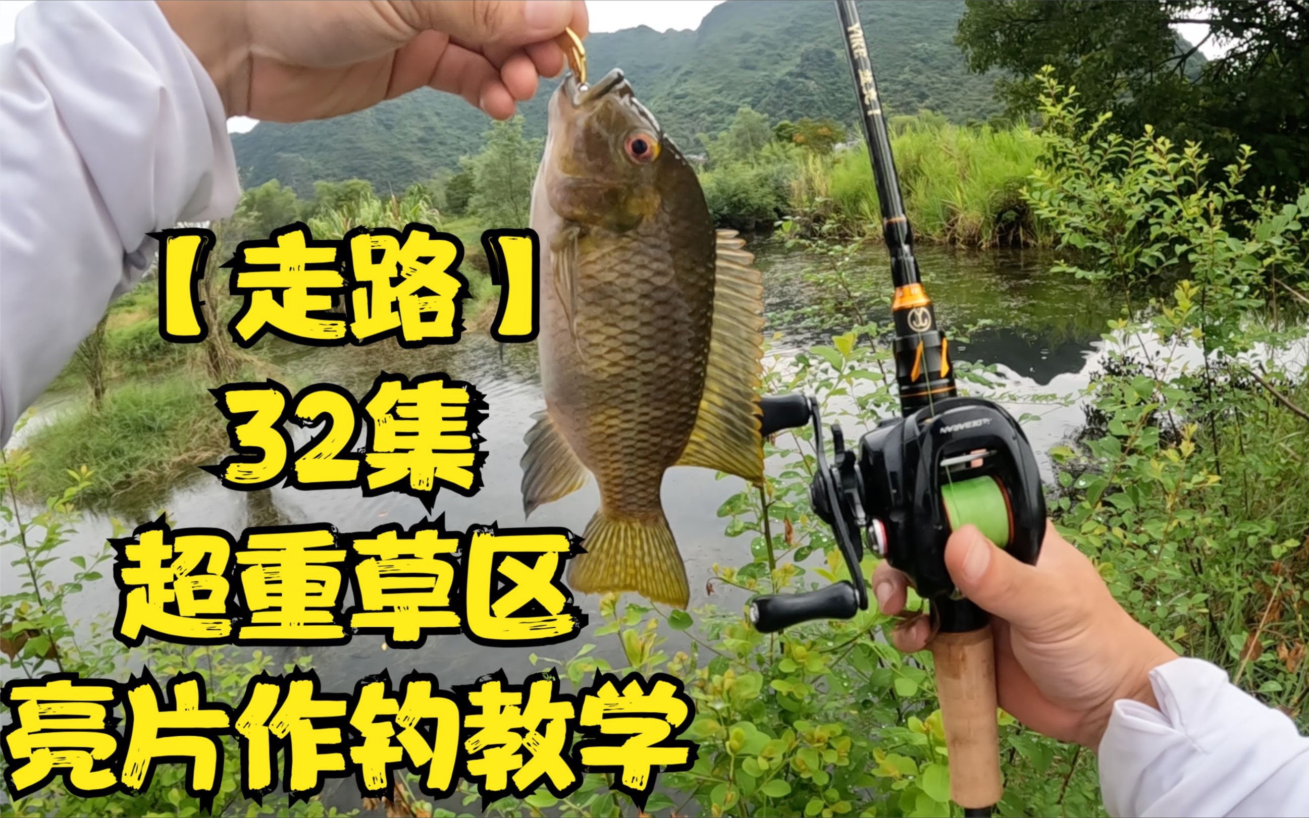 草多地方路亚(路亚钓草鱼钓多深)