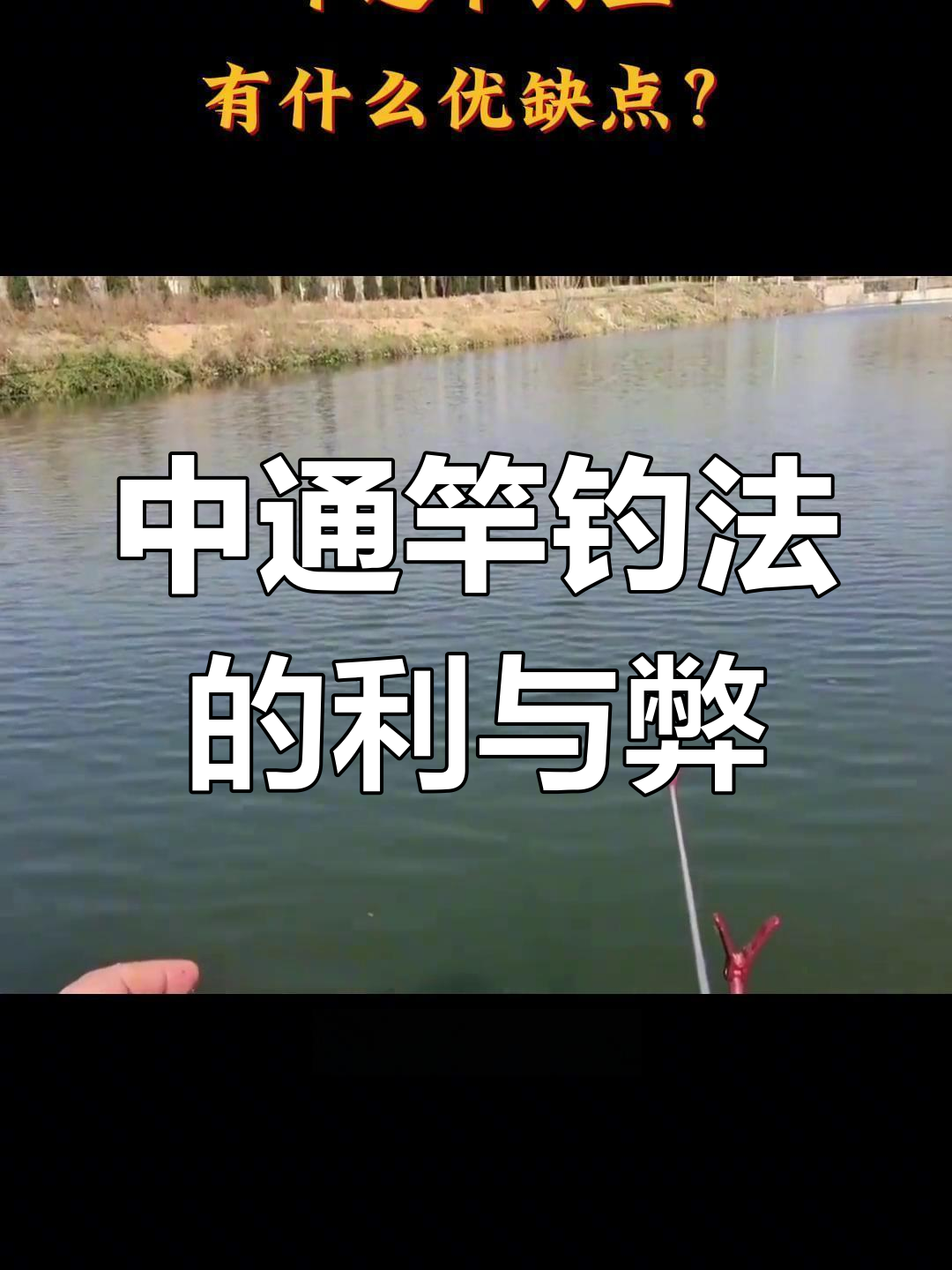 中鱼后提竿技巧(提竿中鱼后怎么秒脱钩)