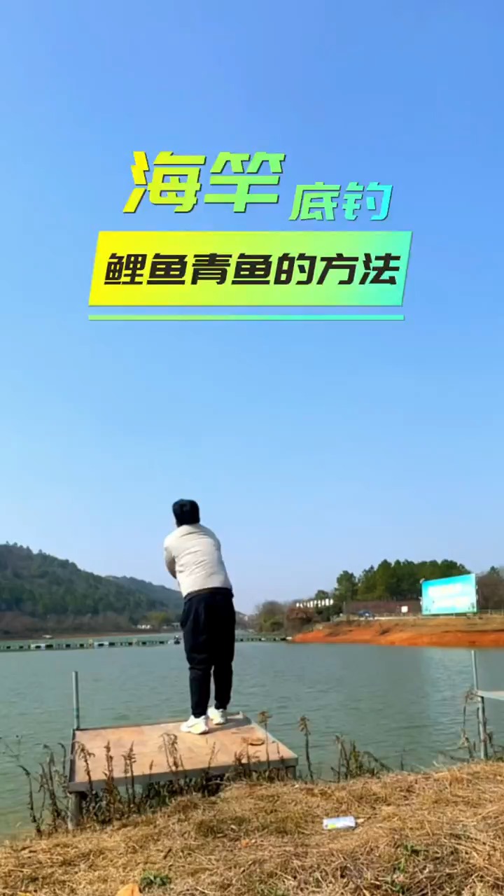 水库抛竿钓青鱼技巧(水库钓青鱼怎样调漂图解)
