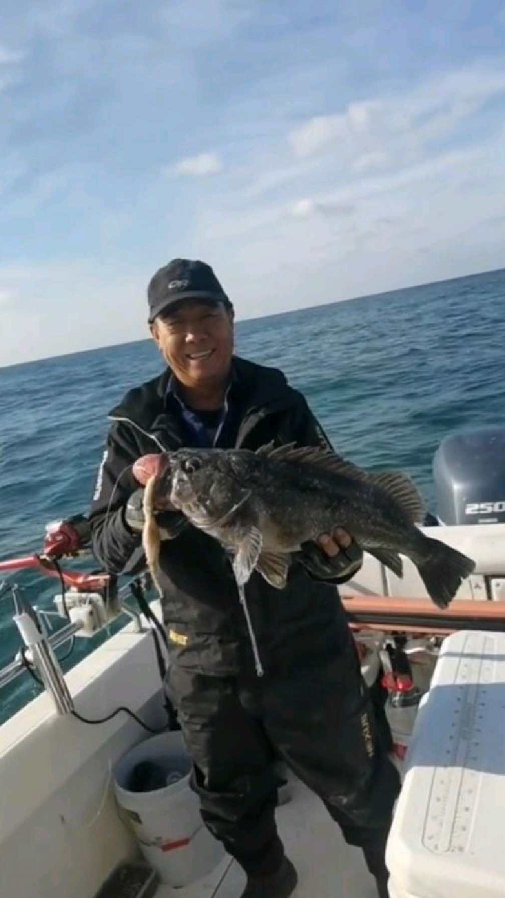 葫芦岛海钓燕鱼(葫芦岛燕鱼批发价格多少钱一斤)
