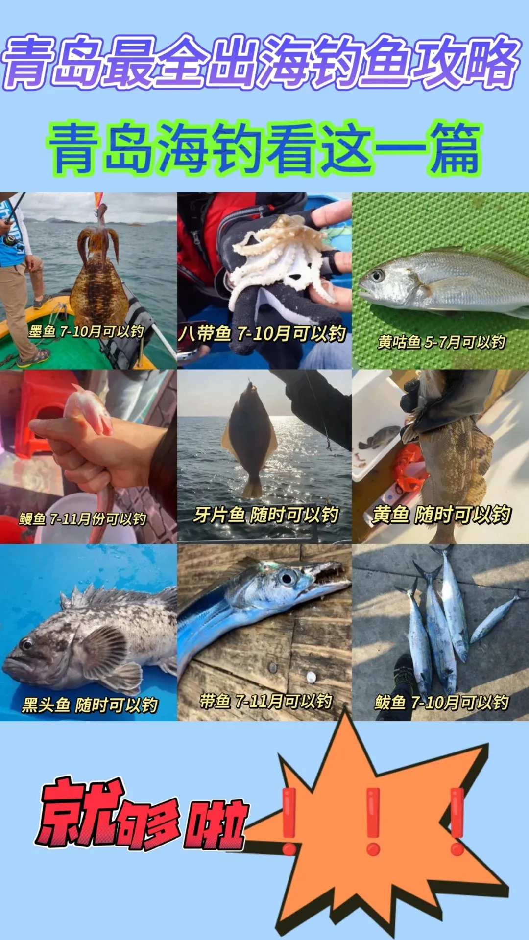 海钓鲅鱼怎么钓(海钓鲅鱼钓多深水)