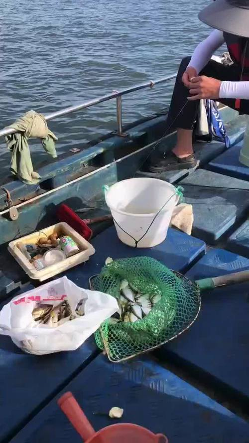 盖县北海钓鱼(盖州北海钓鱼)
