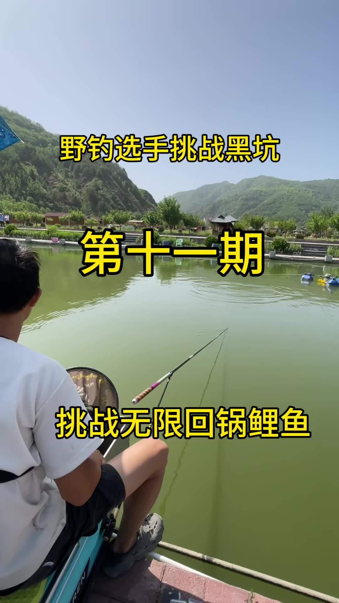 黑坑晚上偷驴技巧(钓鱼黑坑偷驴)