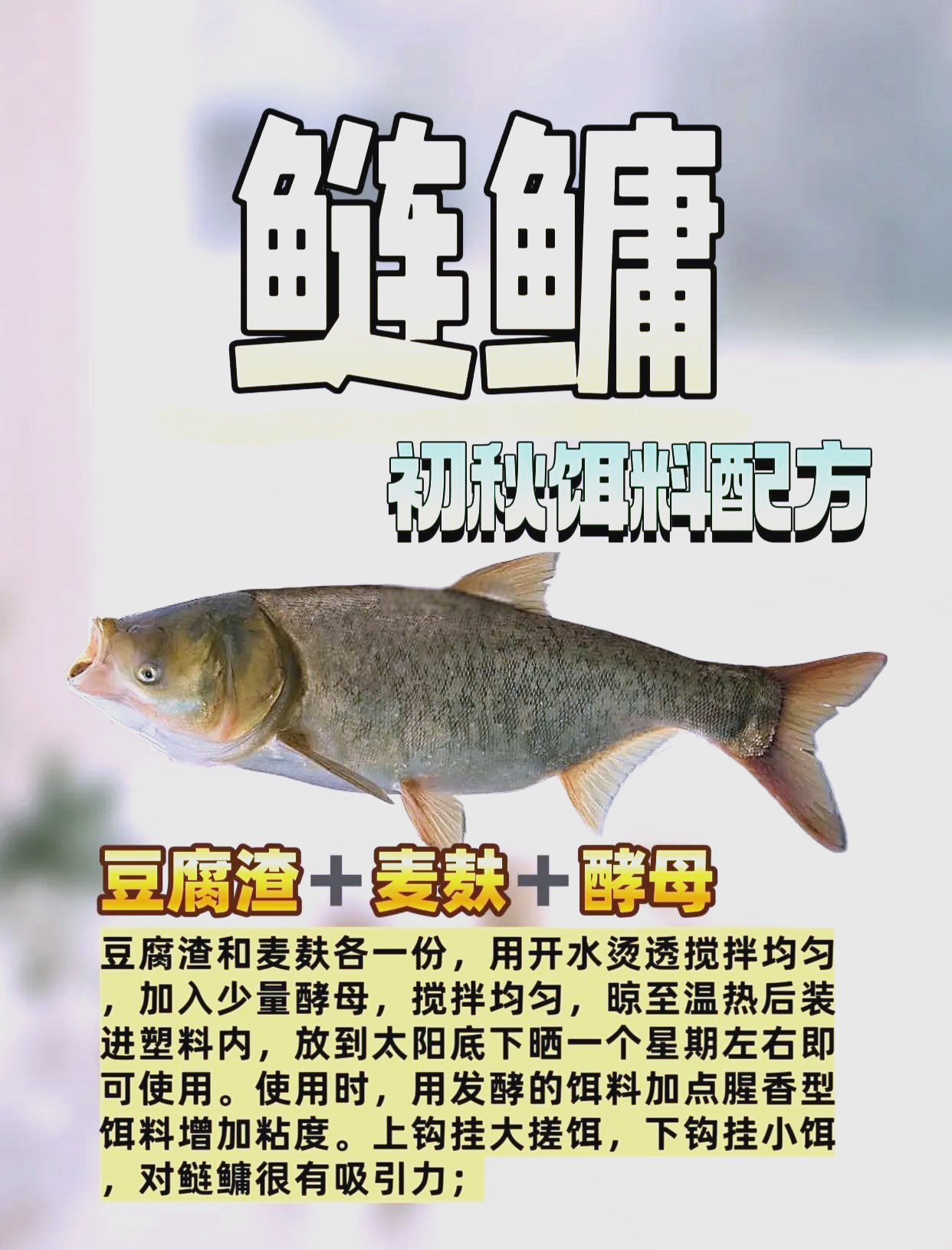 饵料成分详解(饵料成分详解表)