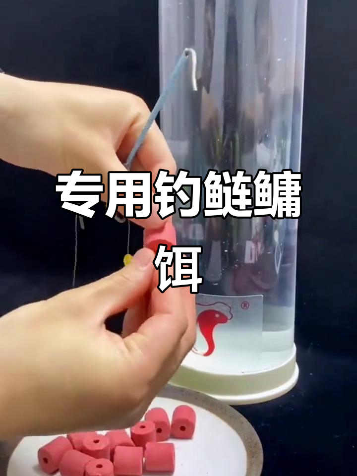 手杆钓鳙鱼饵料配方(手杆钓鲢鳙教程视频)