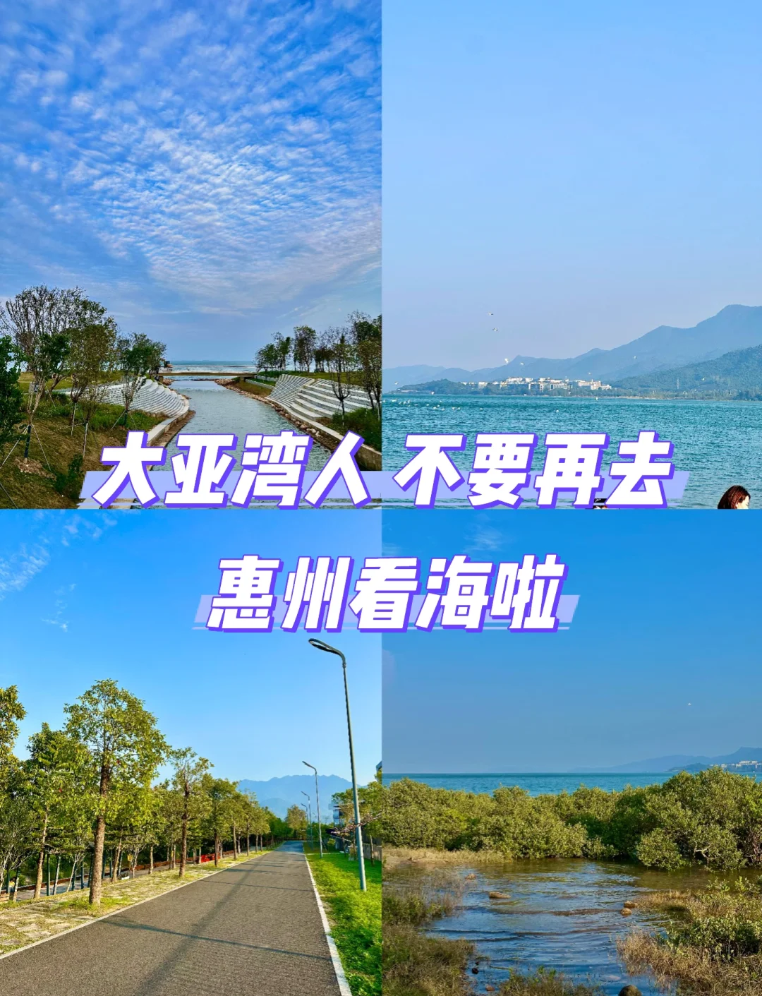 大亚湾附近海钓地点(大亚湾海钓一般什么鱼)