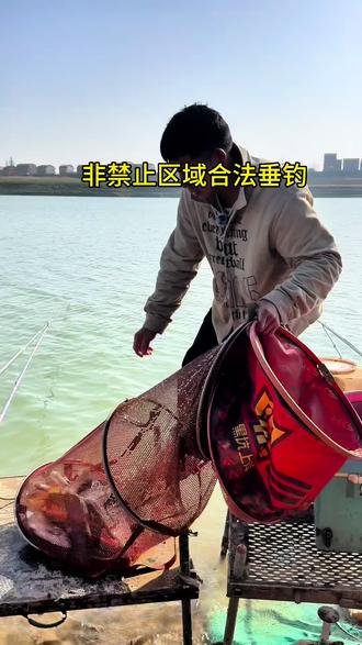 野钓开搓饵技巧(钓鱼开搓饵的制作方法)