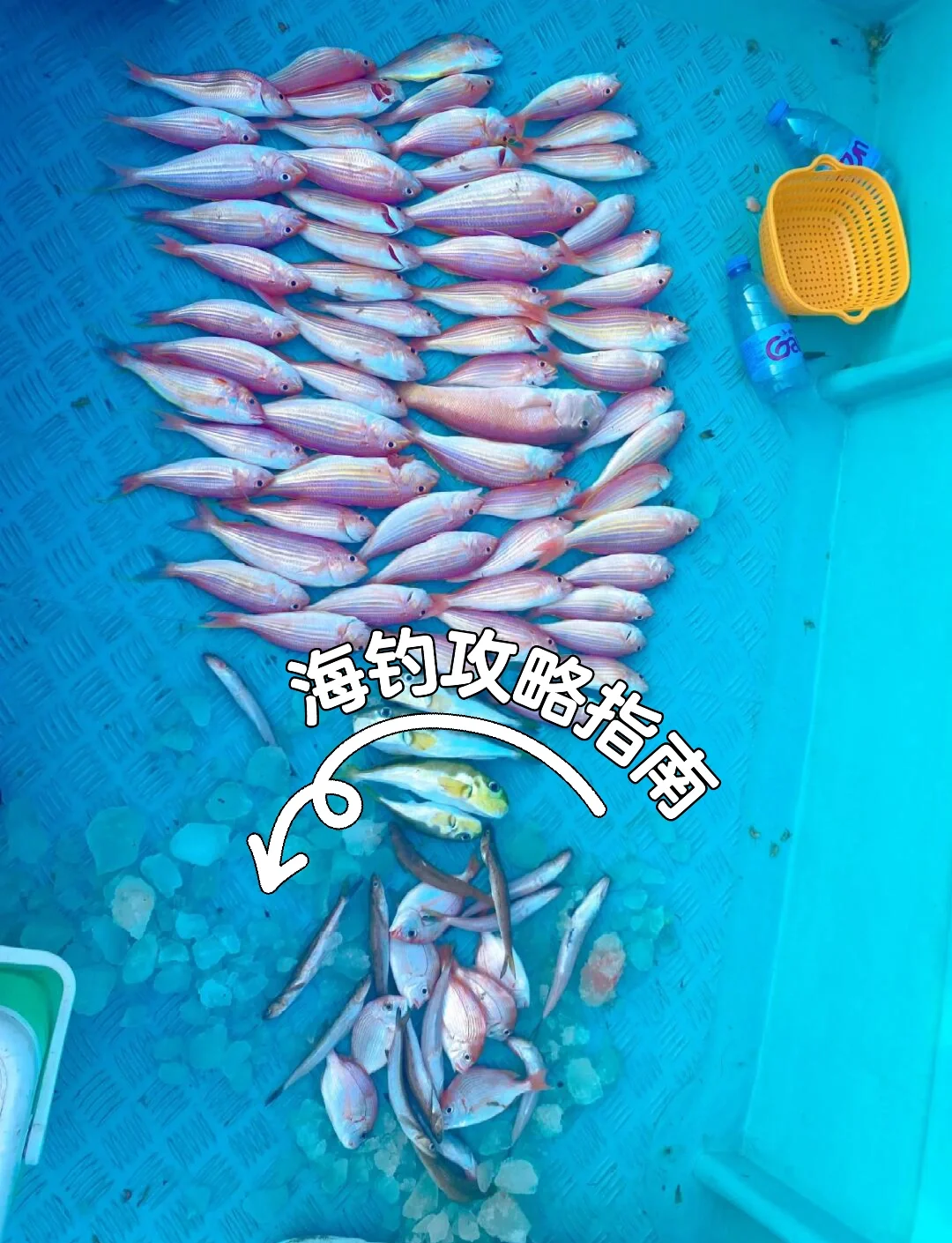 三亚怎样海钓(去三亚海钓吧!最佳地点大集合!)
