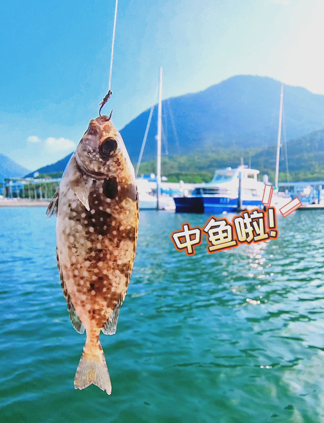 大鹏海钓位置(大鹏海边哪个位置钓鱼好一点)
