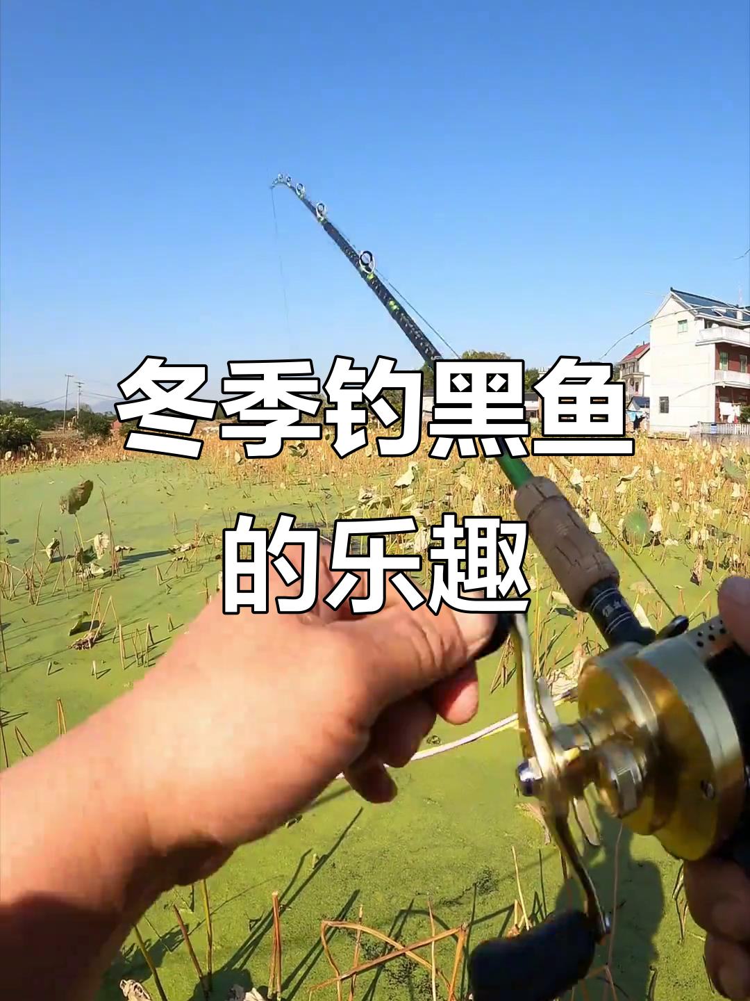 初冬钓黑鱼技巧(初冬钓黑鱼技巧视频)