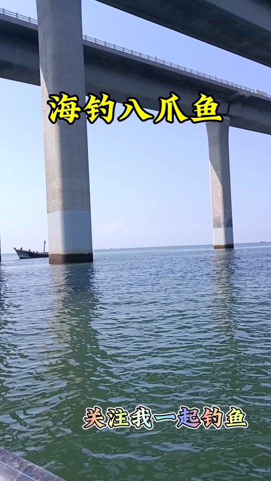 海钓八爪鱼视频(钓八爪鱼的视频)