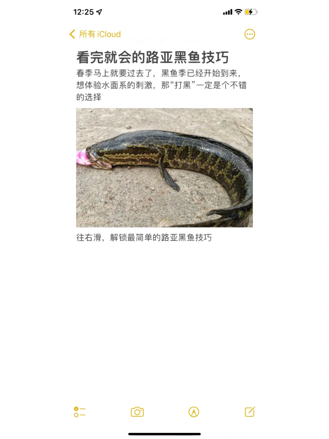 江河钓黑鱼技巧钓技巧(河道钓黑鱼)