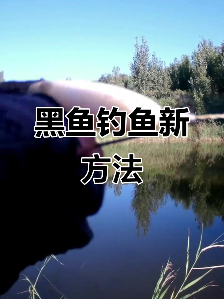 江河钓黑鱼技巧钓技巧(河道钓黑鱼)