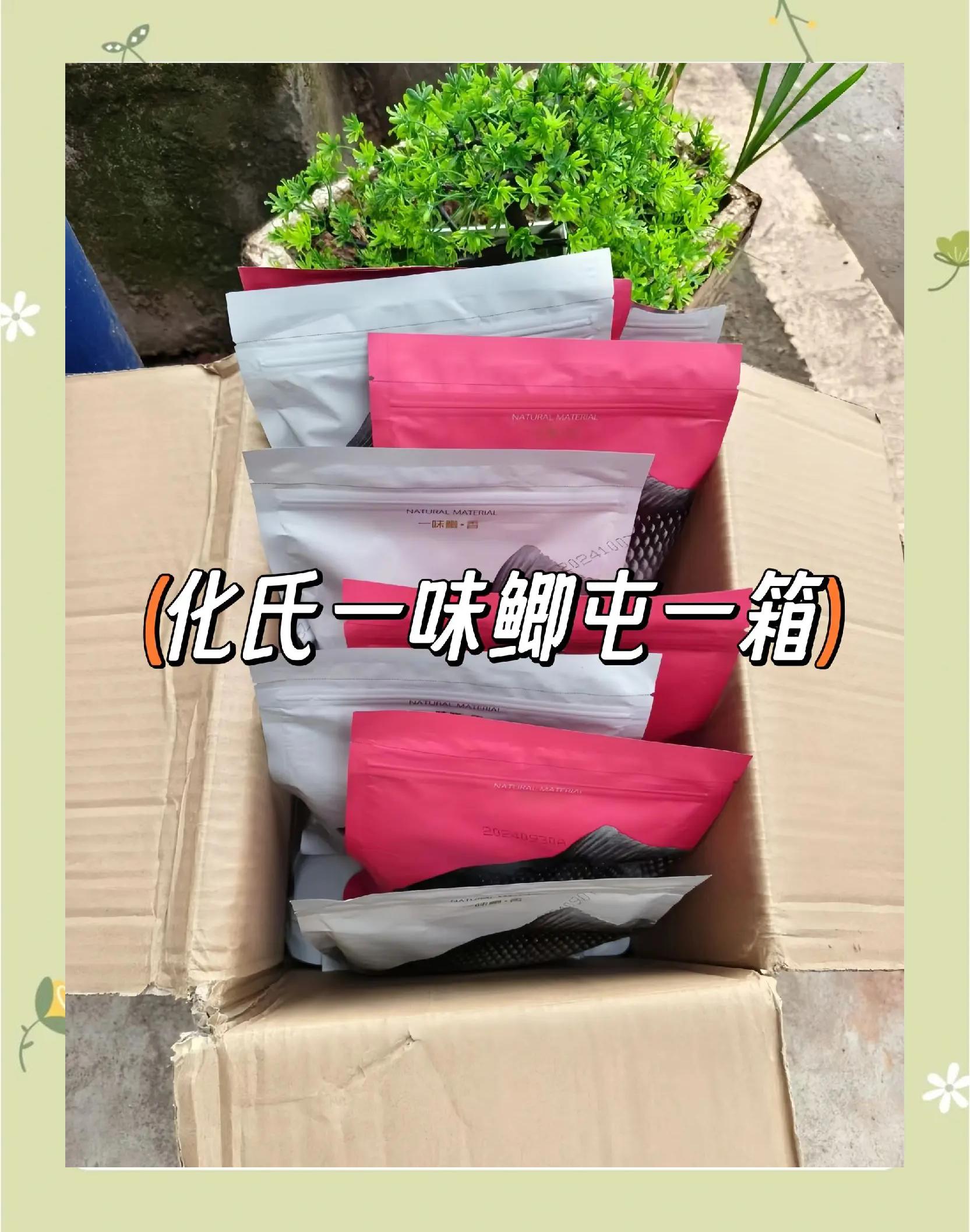 华氐鱼饵料(华氏鱼饵配方大全)