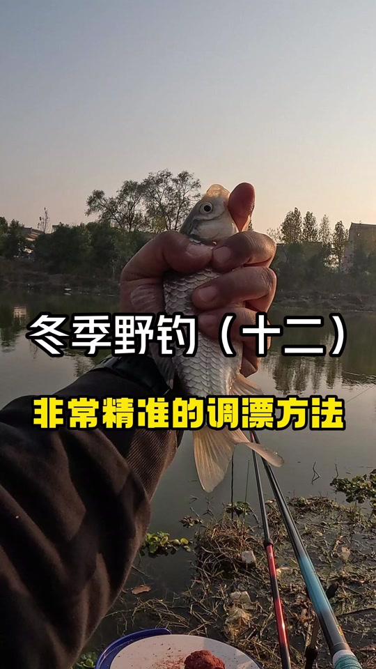 刘志强竞技钓鱼技巧的简单介绍