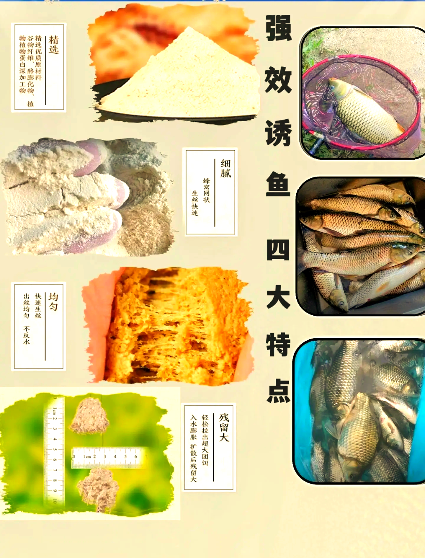 饵料分类(饵料分为几种类型)