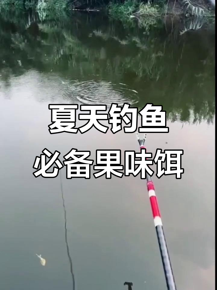 处暑钓鲤鱼鱼技巧(处暑节气钓鱼技巧)