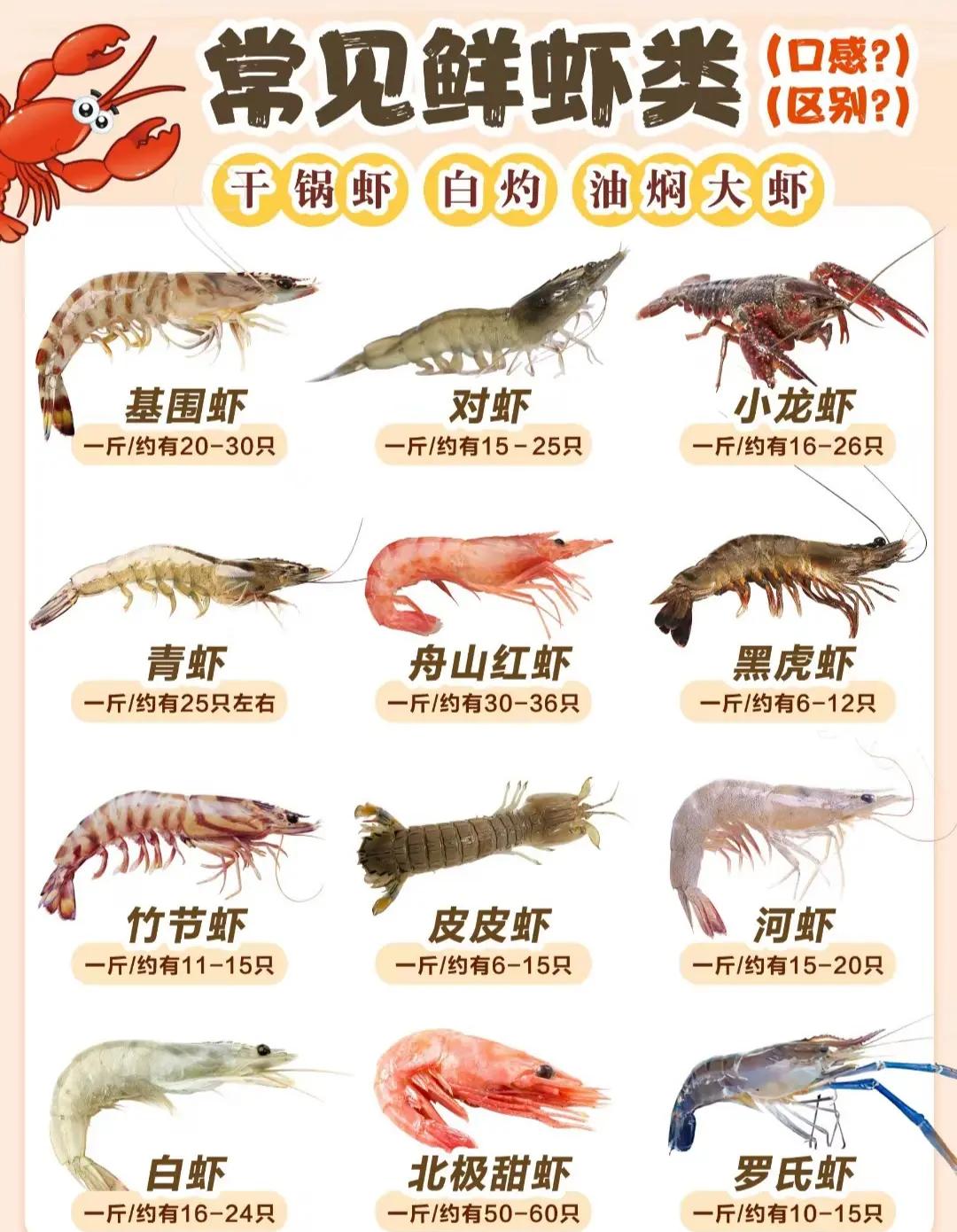 网虾技巧视频(网虾技巧视频讲解)