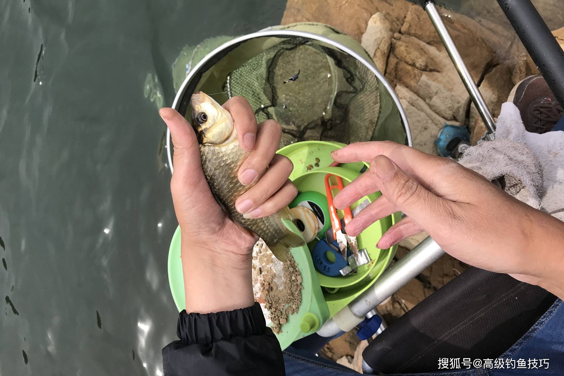 初春野塘钓鲫鱼技巧(野塘小鱼多,这么钓大鲫鱼)