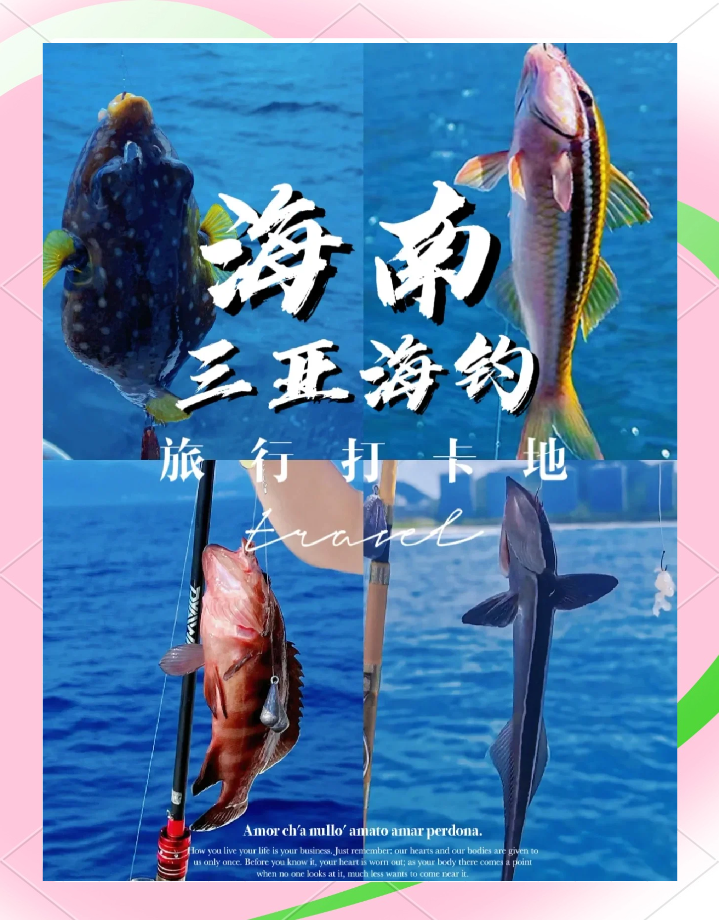 三亚海钓鱼(三亚海钓鱼作文300字)
