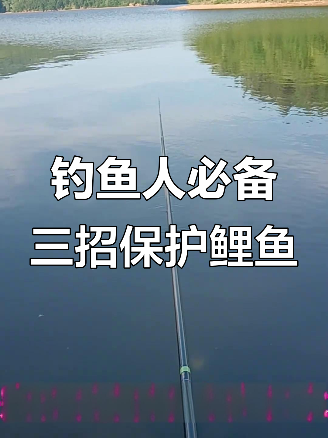 鲤鱼的轻松钓鱼技巧(鲤鱼如何垂钓)