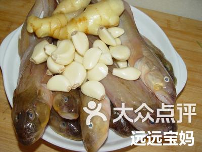 钓狗杠鱼技巧(狗杠鱼钓法)