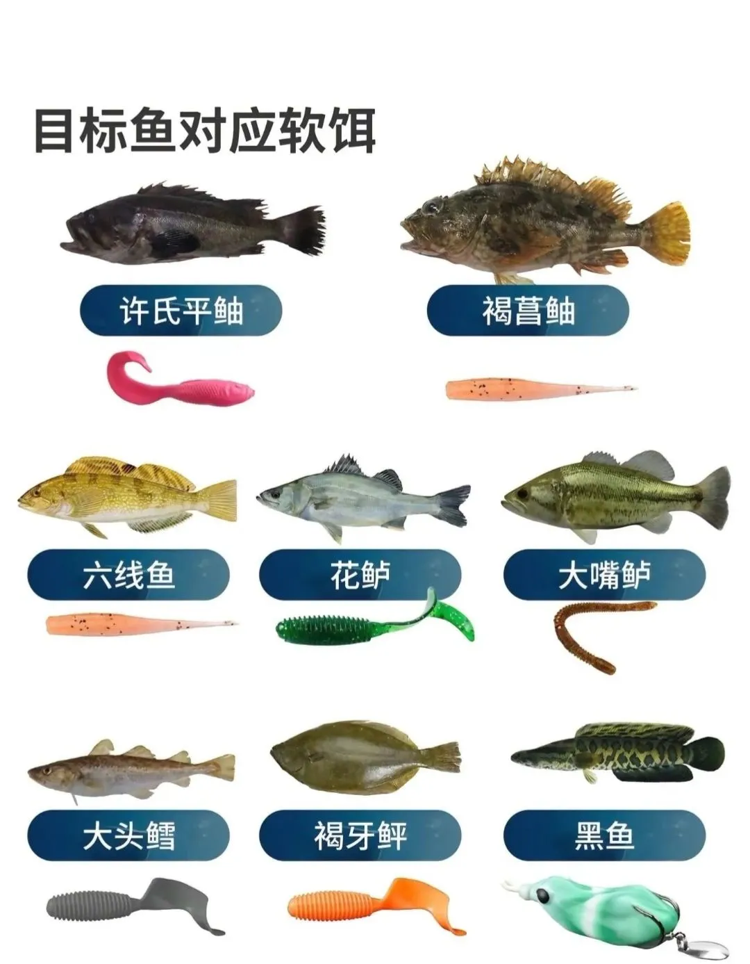 商品饵料怎么选择和搭配(商品饵料如何搭配)