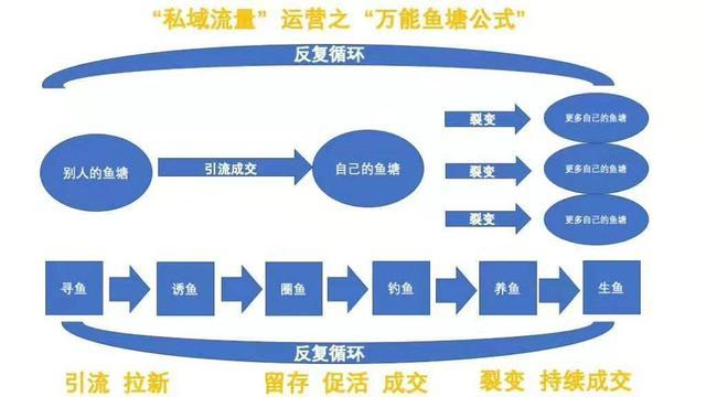 池塘鲤鱼钓法技巧(池塘鲤鱼怎么钓)
