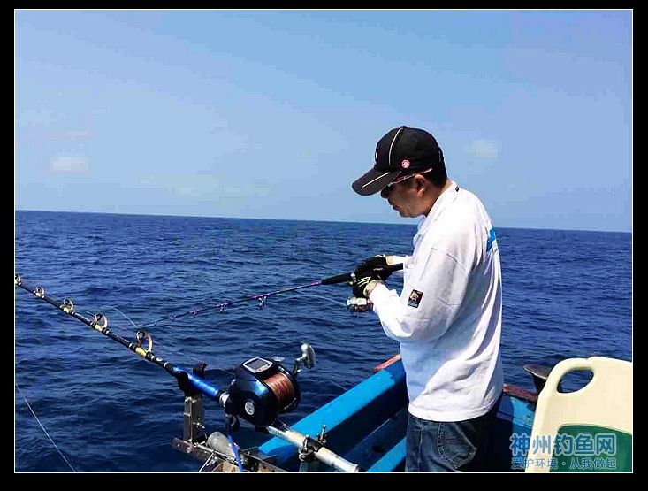 深海海钓视频(深海钓鱼视频高清)