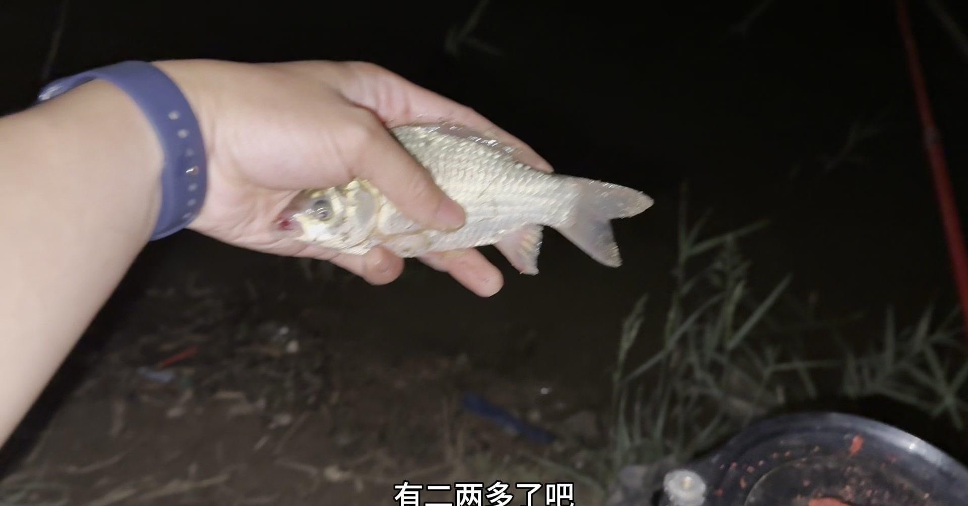 下雨前后钓鱼技巧(下雨前后鱼好钓鱼么)