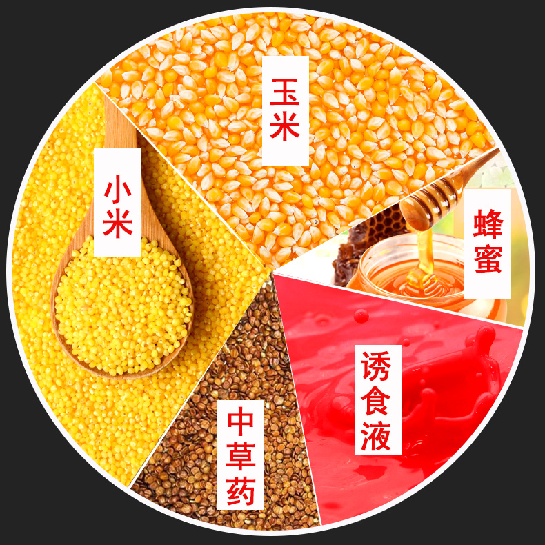 商品饵料泡酒米(钓鱼泡酒米配方比例)