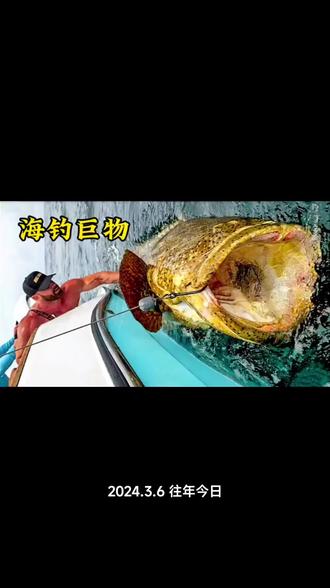 海钓小鲨鱼(海钓小鲨鱼能吃吗)