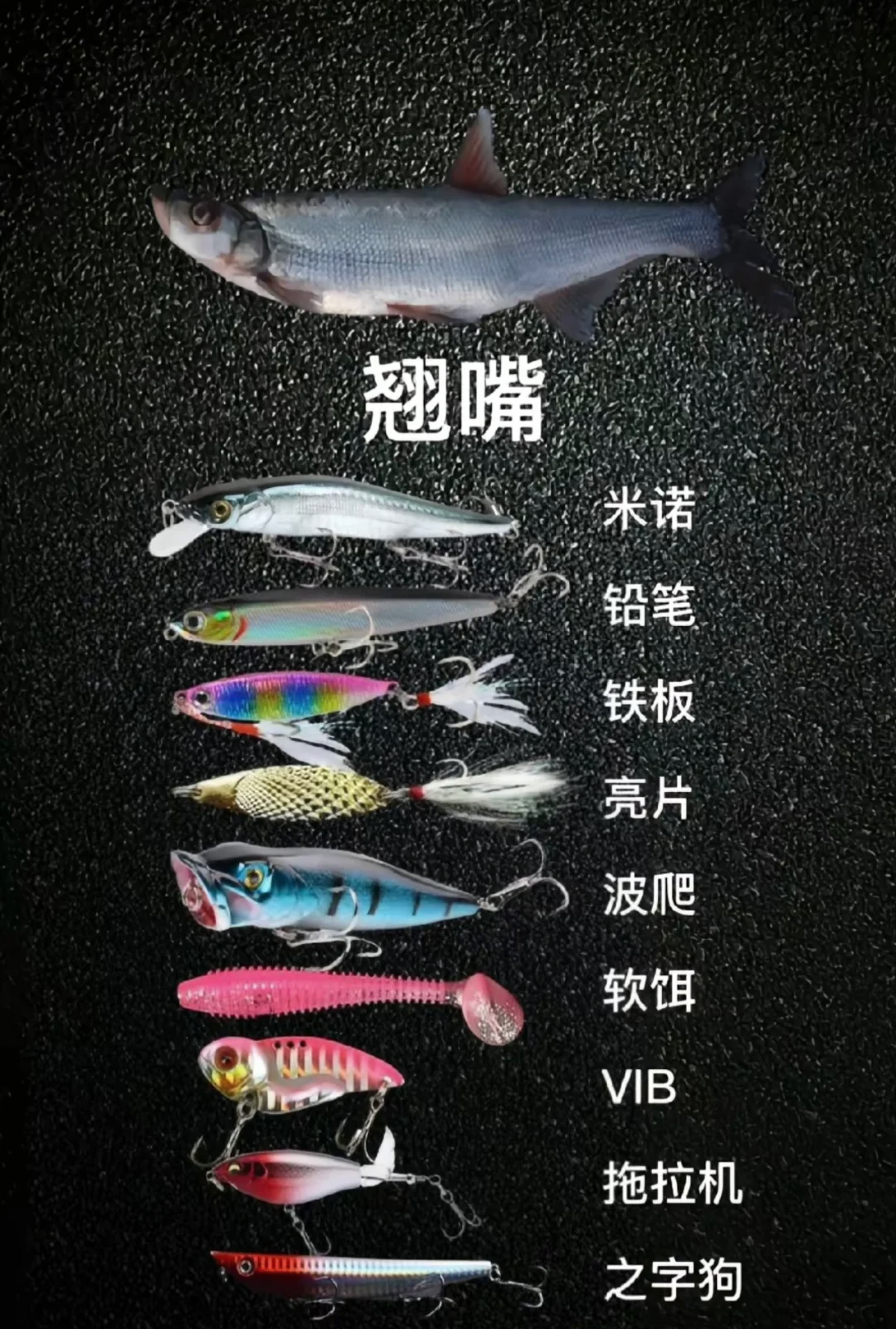 路亚亮片钓法视频(路亚亮片钓什么鱼视频)
