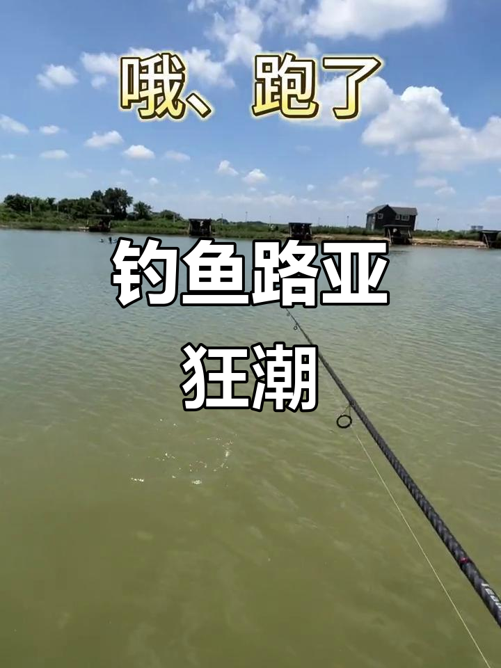 l路亚海钓(路亚海钓初学常识)