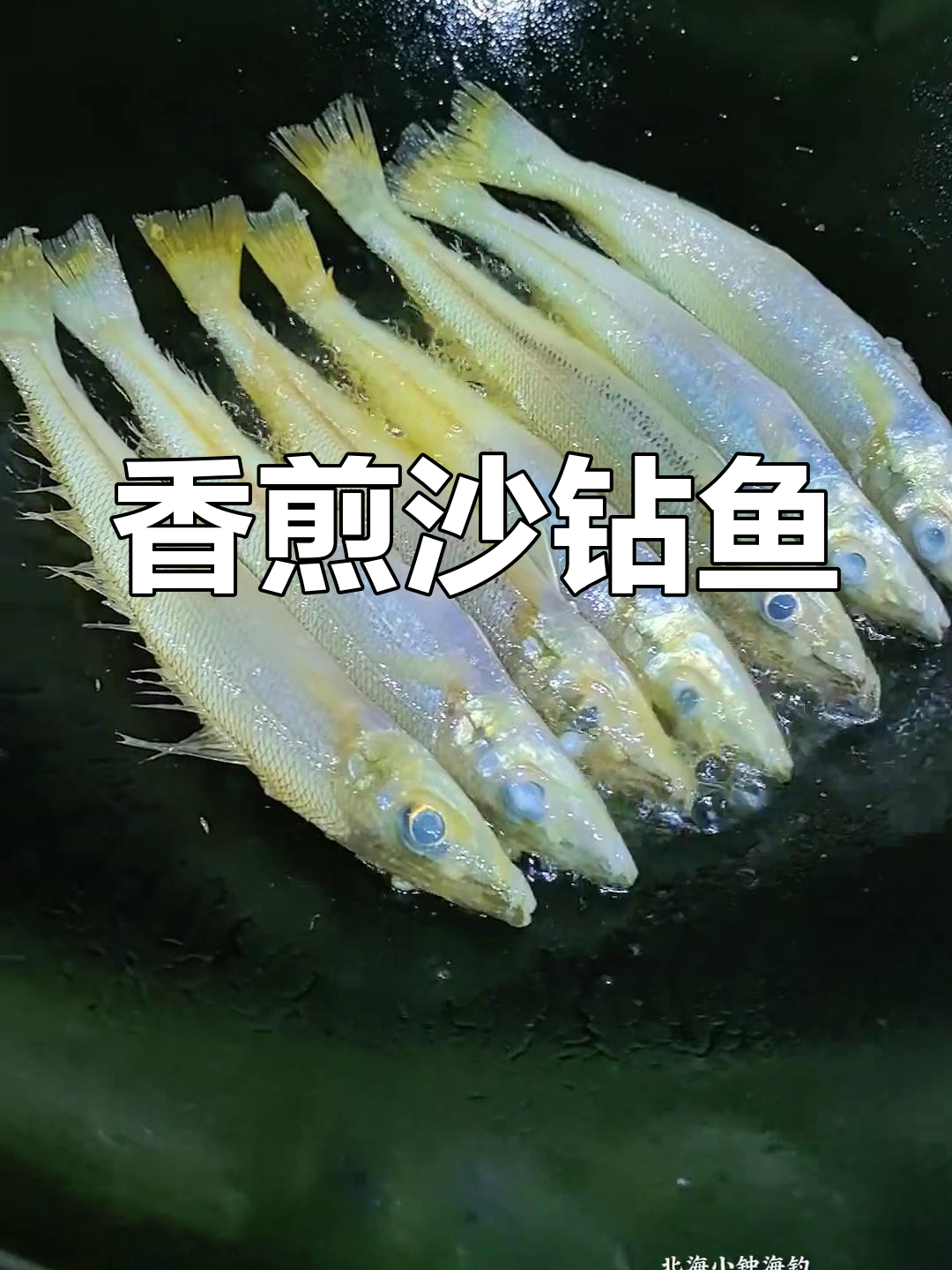 冬季海钓沙钻鱼(沙钻最好什么时候钓)