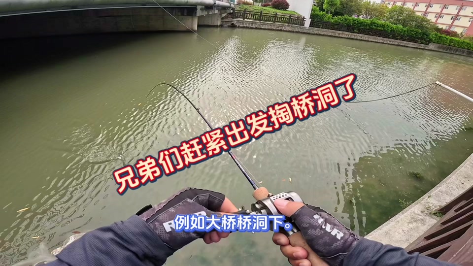 路亚翘嘴的时间(路亚翘嘴时间选择)