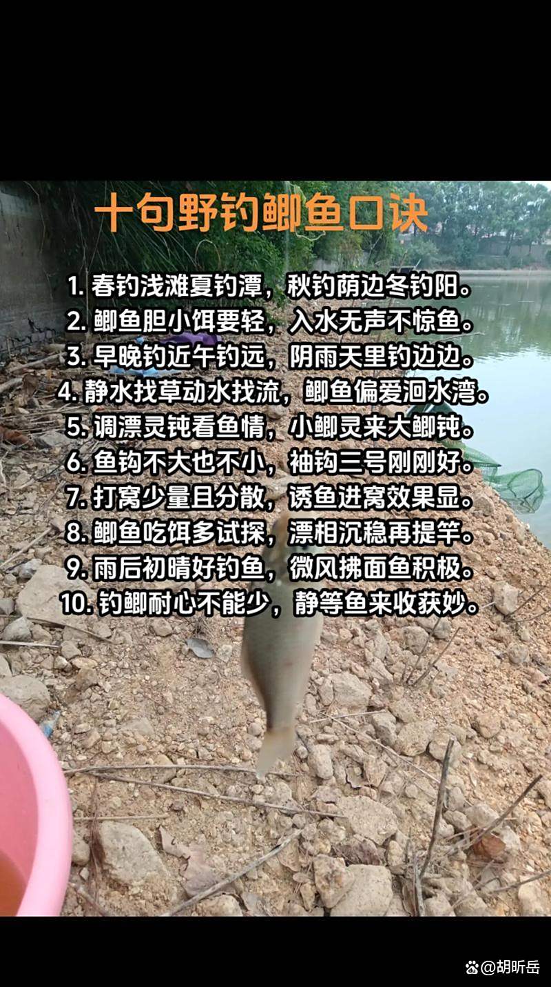 夏钓鱼塘小鲫鱼技巧(夏天钓塘怎么选位置)